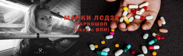 ПСИЛОЦИБИНОВЫЕ ГРИБЫ Няндома