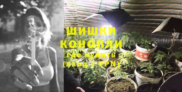 ПСИЛОЦИБИНОВЫЕ ГРИБЫ Няндома